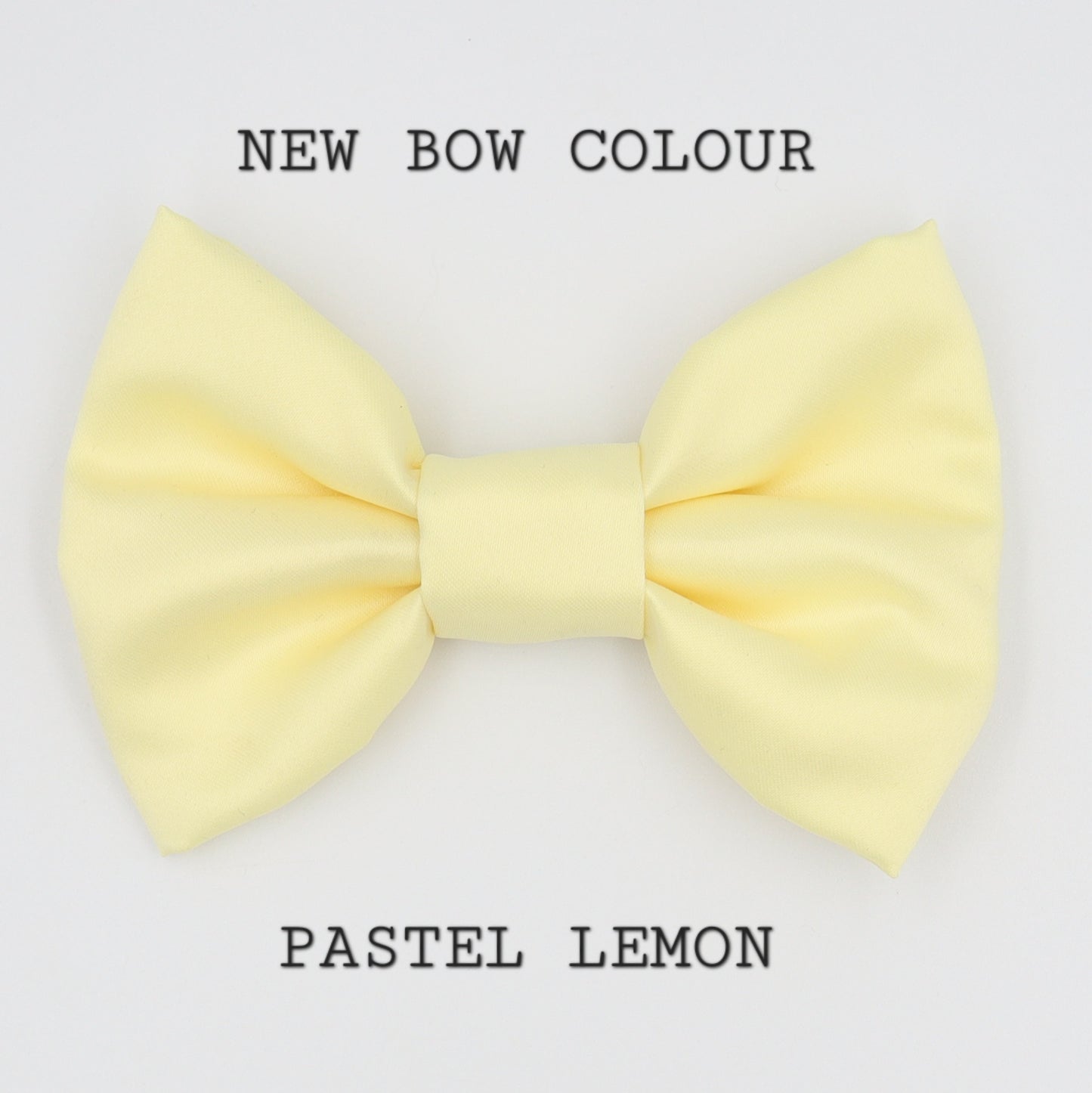 Wedding Dog Harness in Ivory Cream Satin with Burnt Orange Bow and Flowers CHOICE of COLOURS Made to Measure